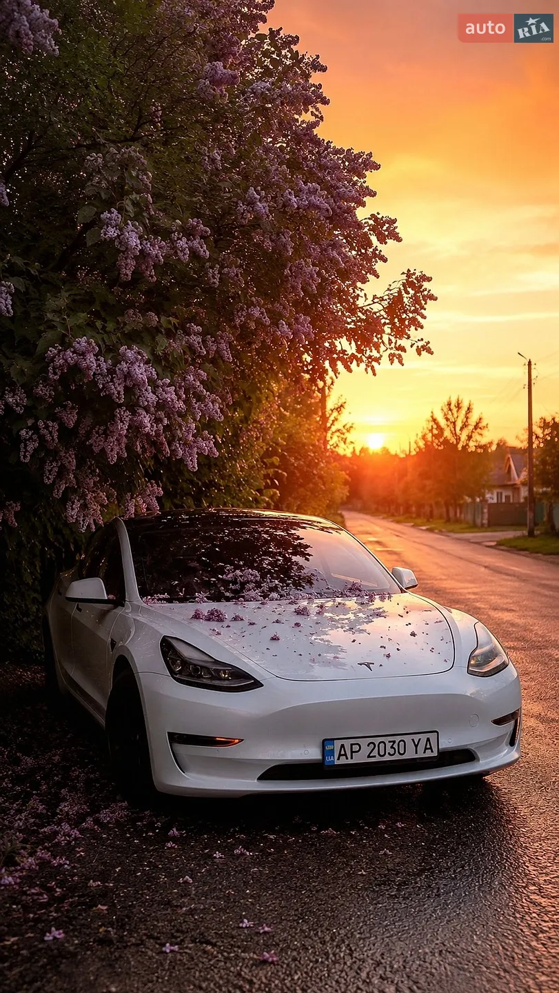 Tesla Model 3 2021 — 1
