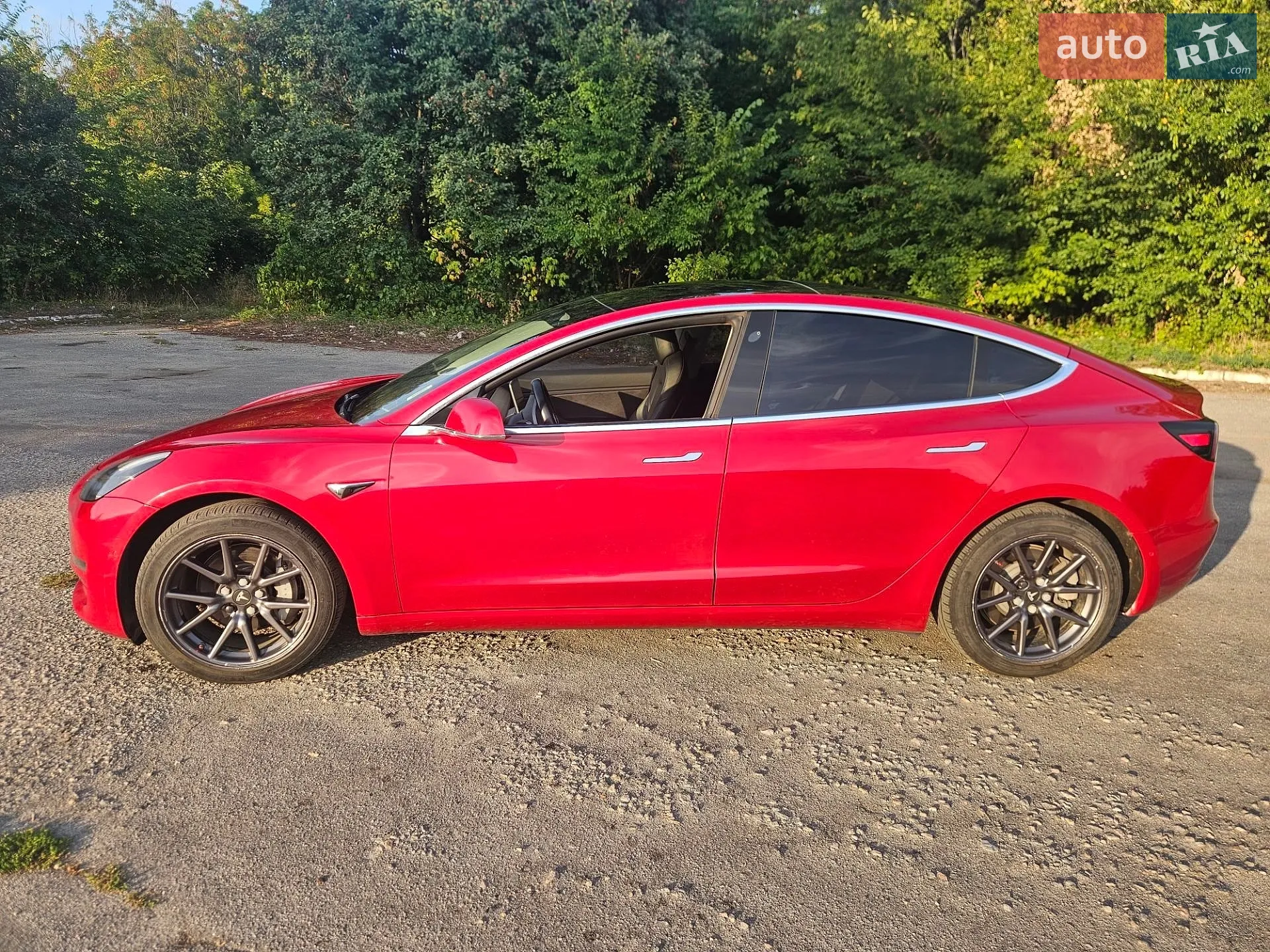 Tesla Model 3, 2019