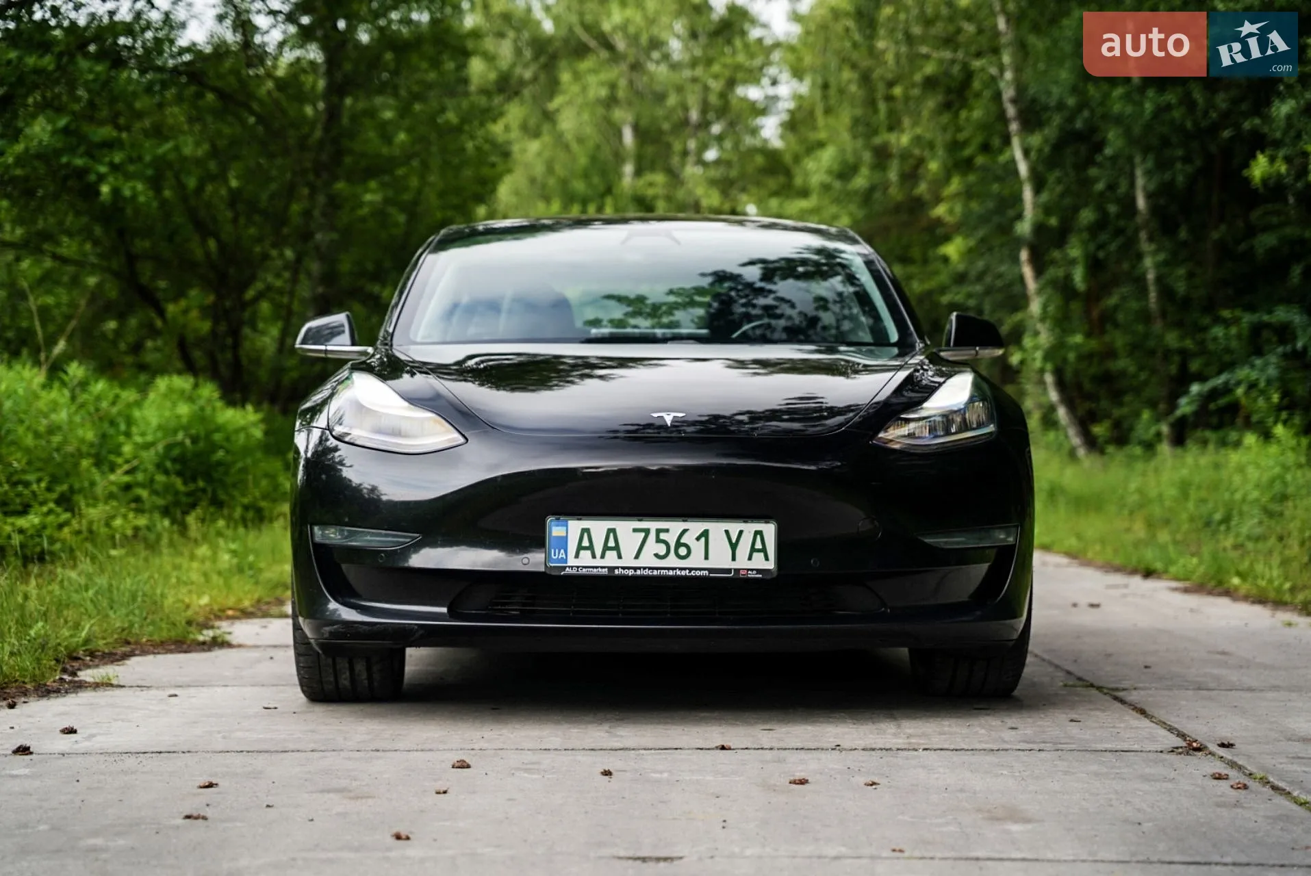 Tesla Model 3, 2019