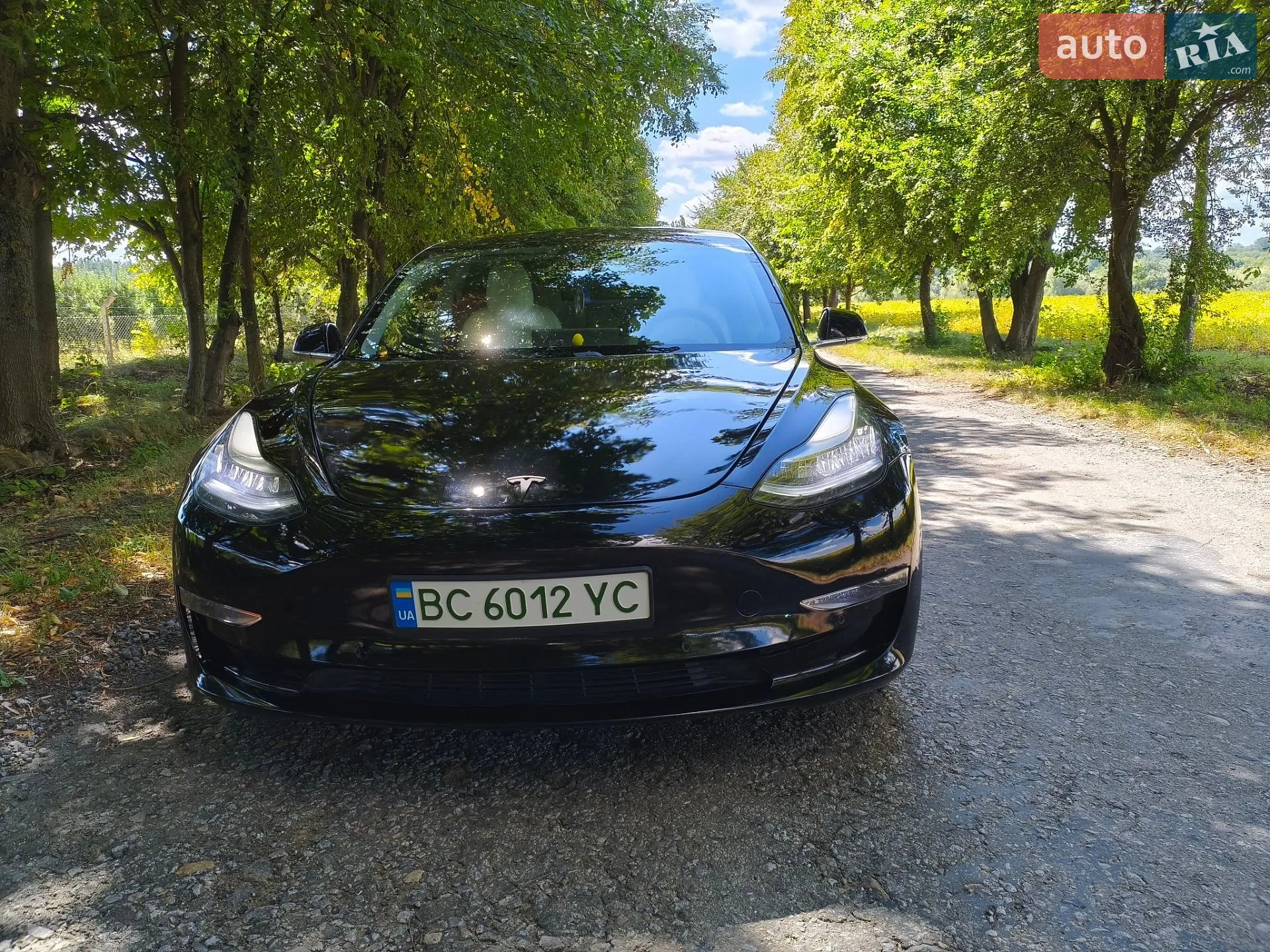 Tesla Model 3, 2019