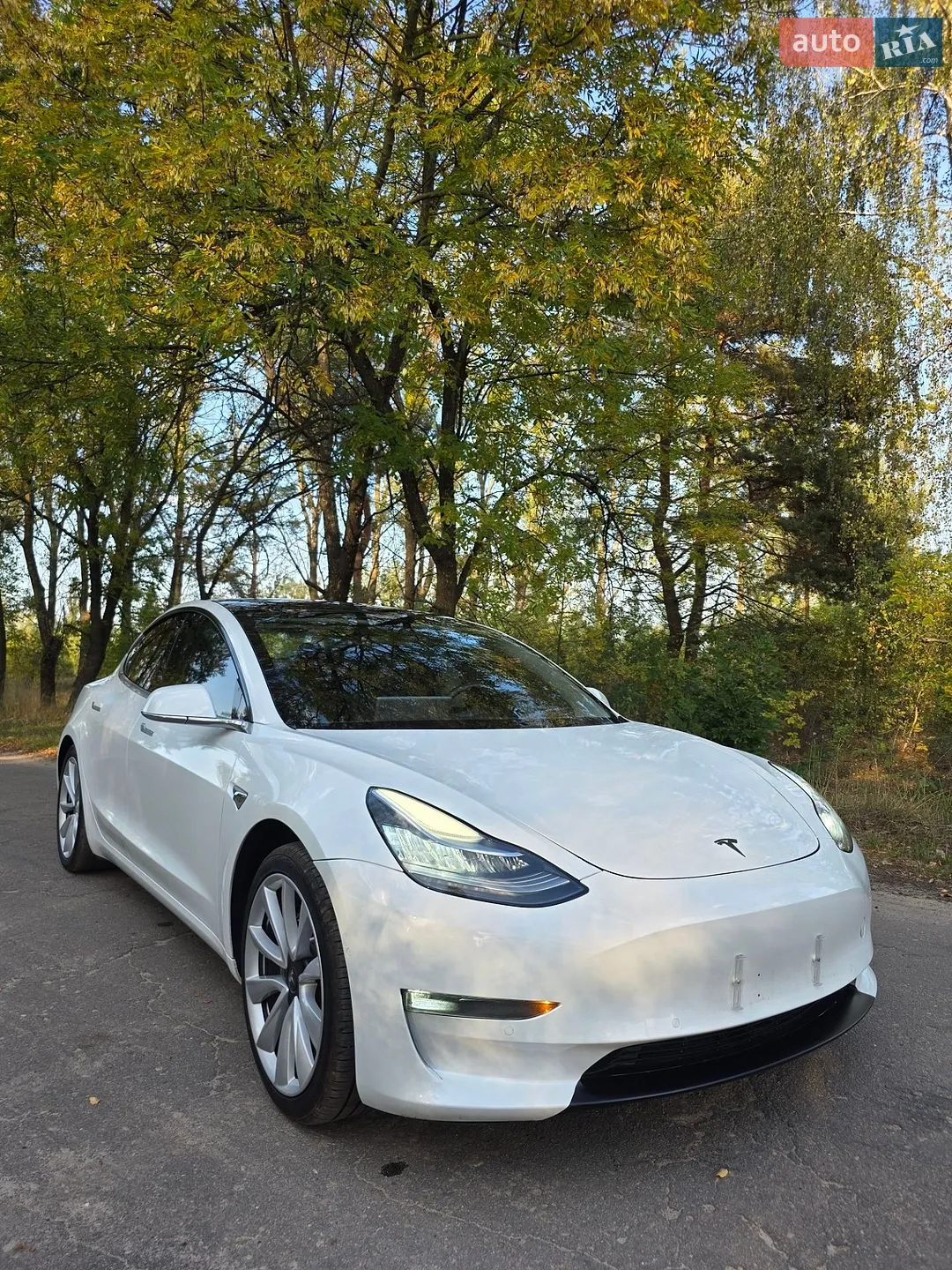 Tesla Model 3, 2019