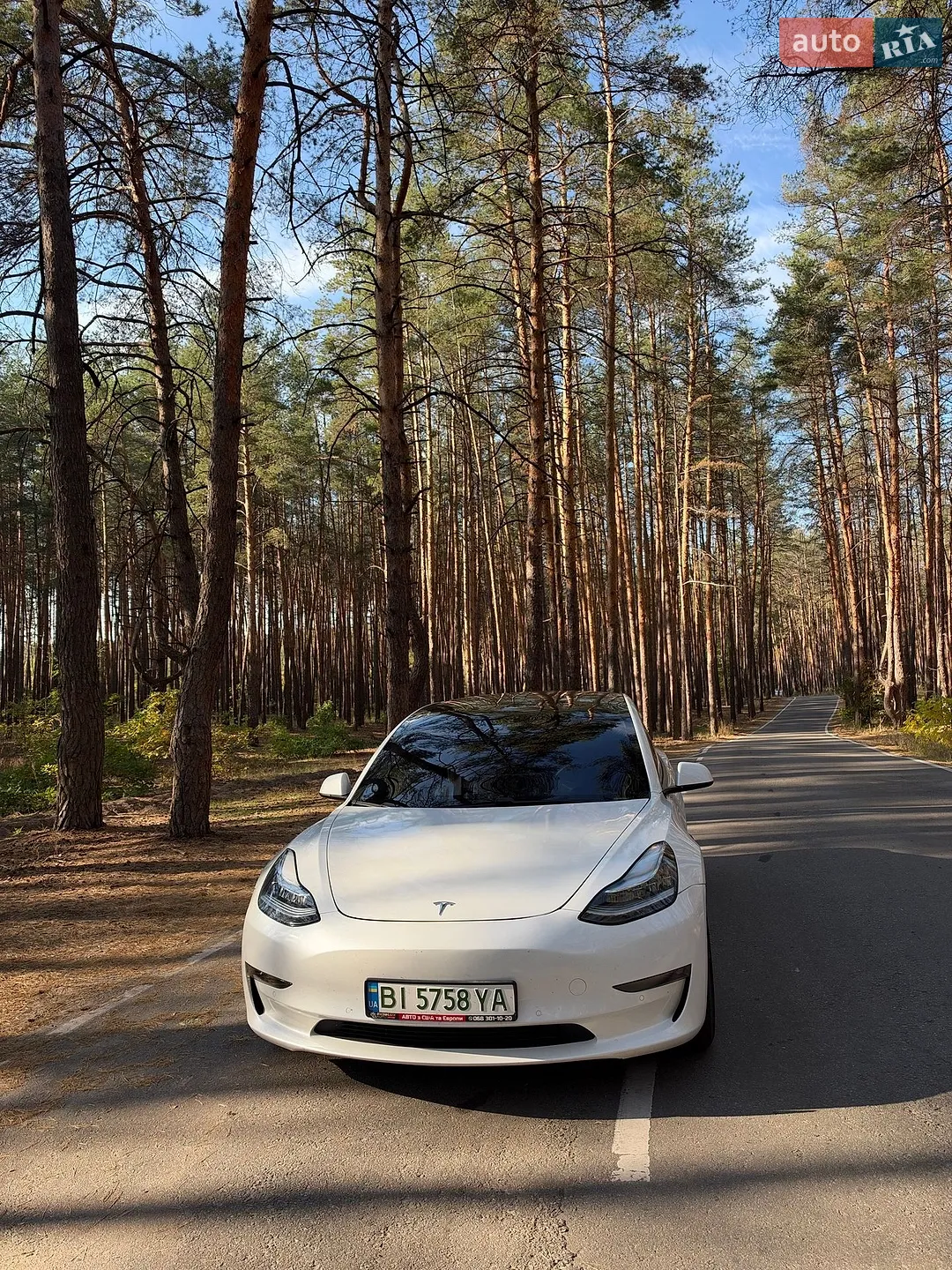 Tesla Model 3, 2020