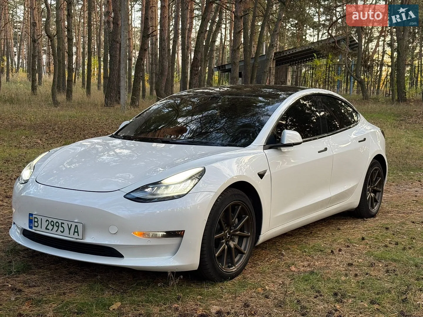 Tesla Model 3, 2020