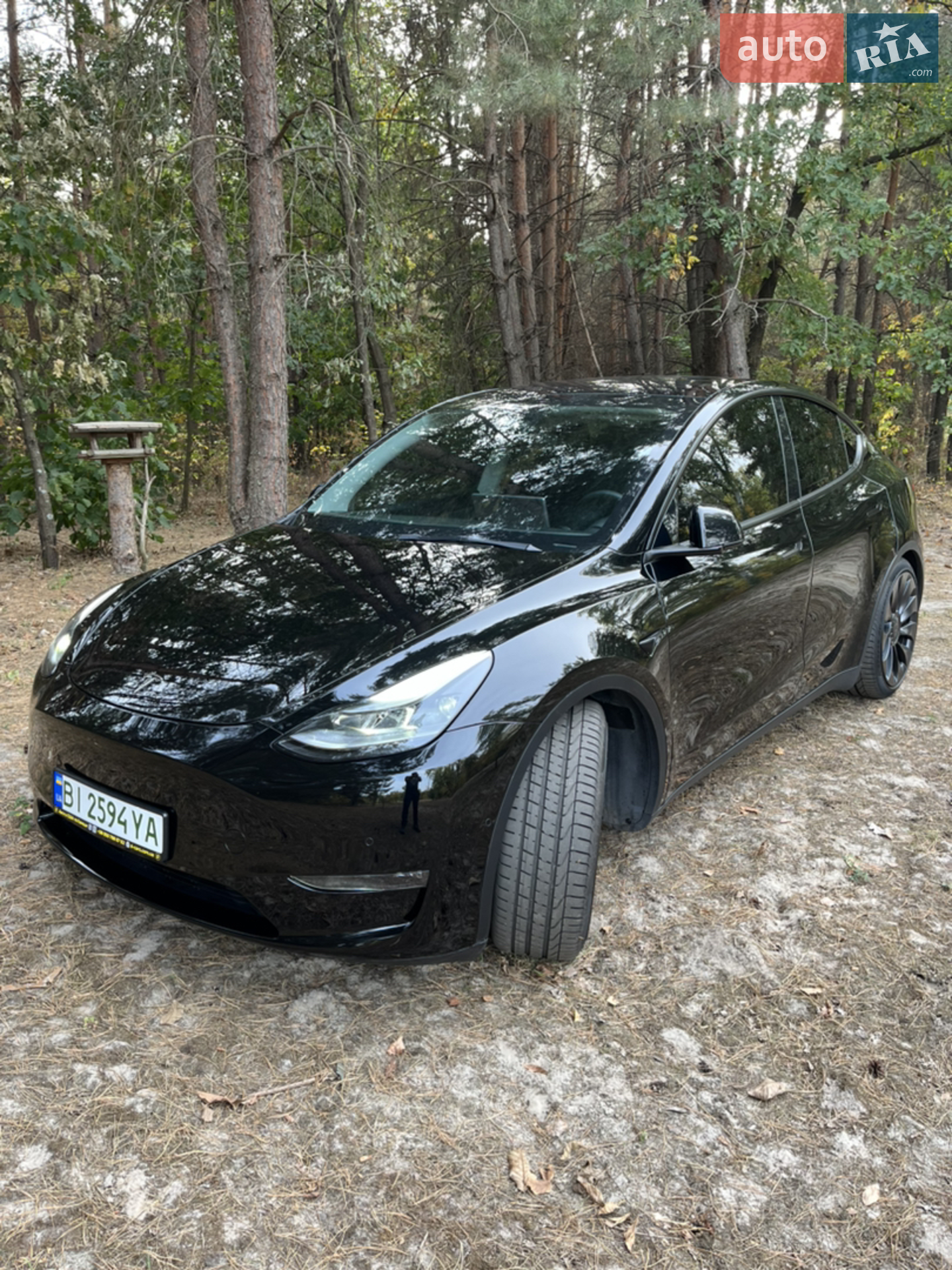 Tesla Model Y, 2021