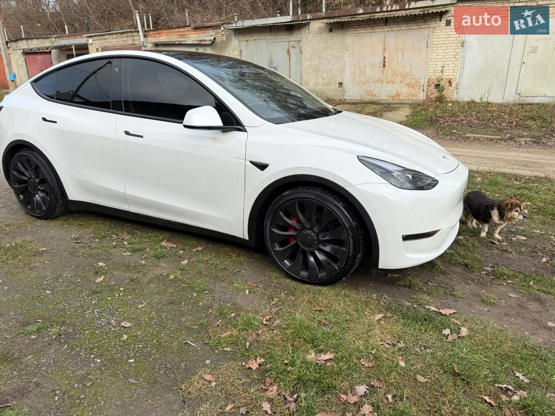 Tesla Model Y, 2022