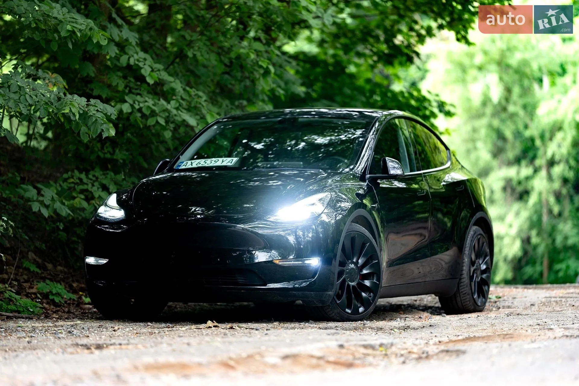 Tesla Model Y, 2022