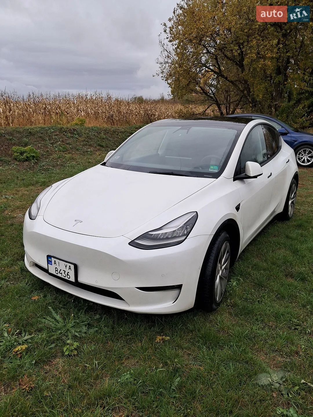 Tesla Model Y, 2021