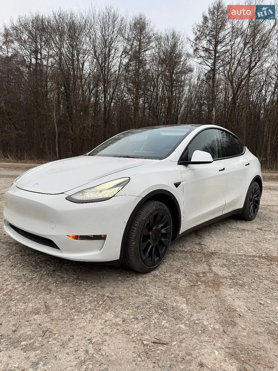 Tesla Model Y, 2021