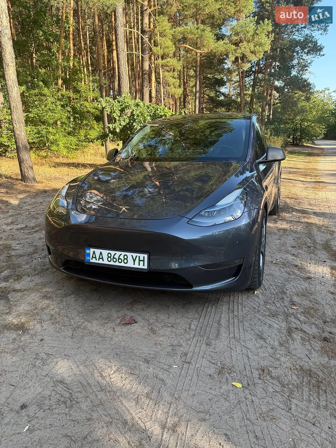 Tesla Model Y, 2022