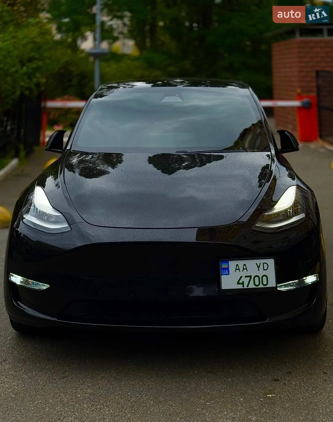 Tesla Model Y, 2020