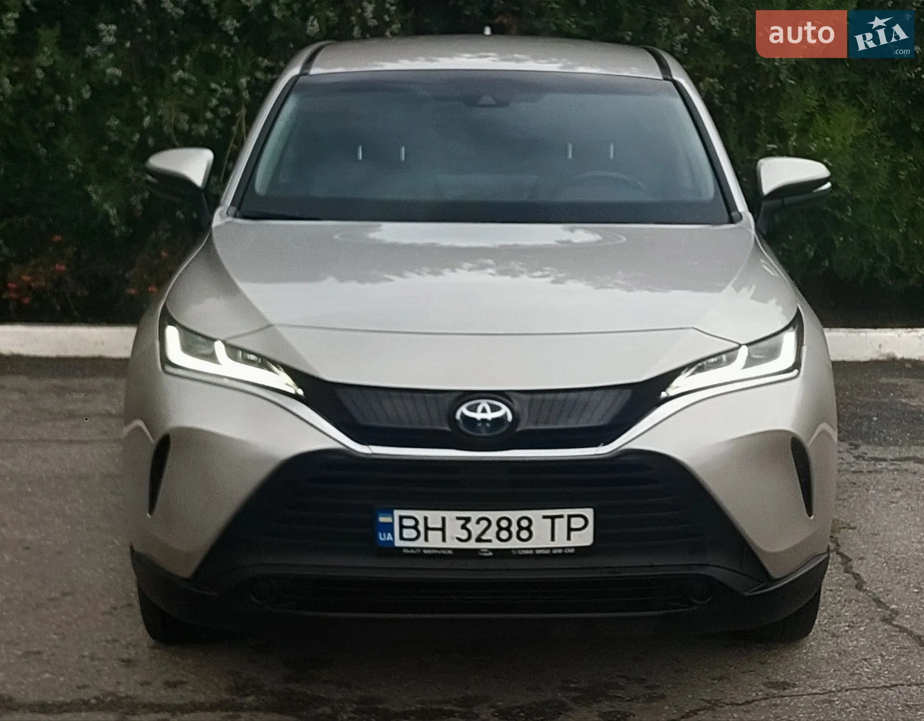 Toyota Venza, 2021