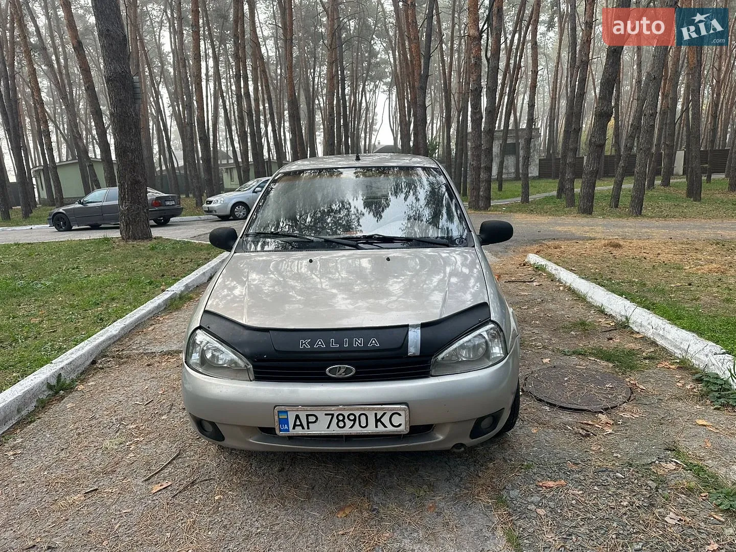 ВАЗ / Lada 1118 Kalina, 2006