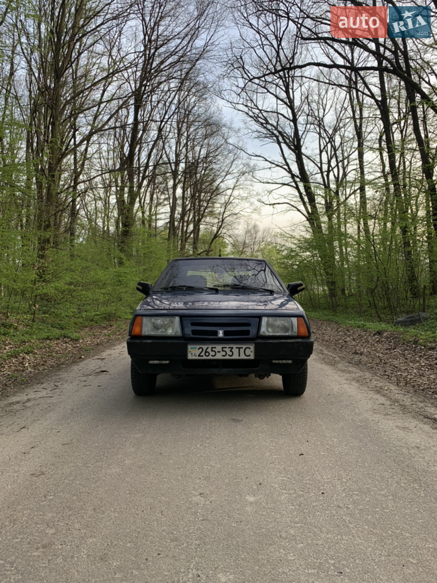 ВАЗ / Lada 2109, 1991