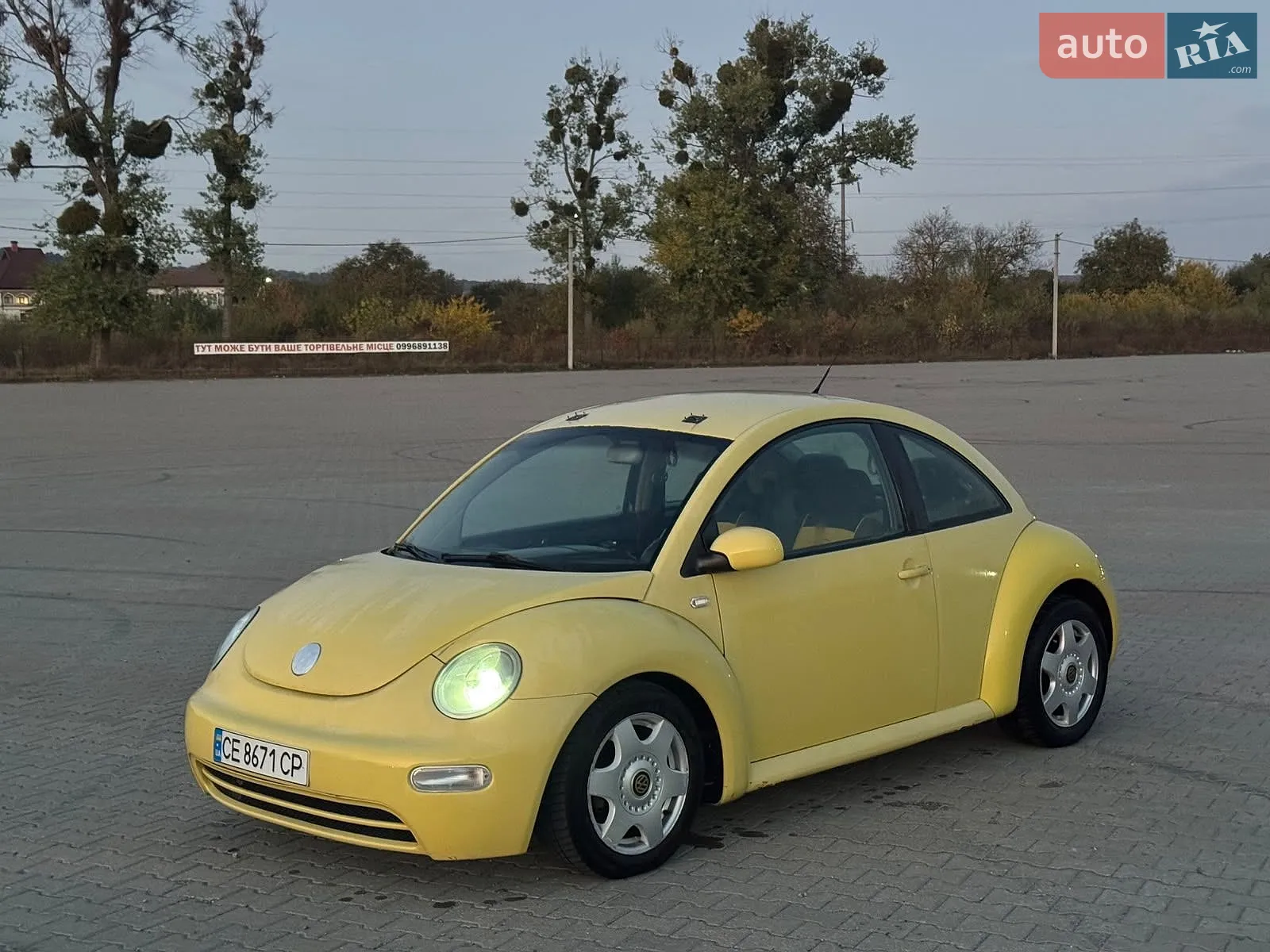 Volkswagen Beetle, 2002