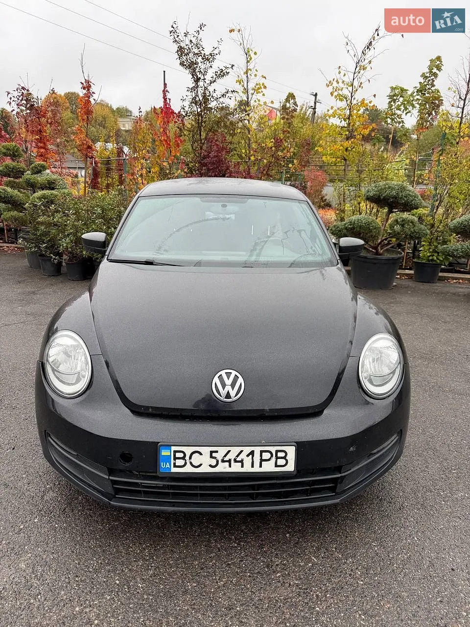 Volkswagen Beetle, 2015