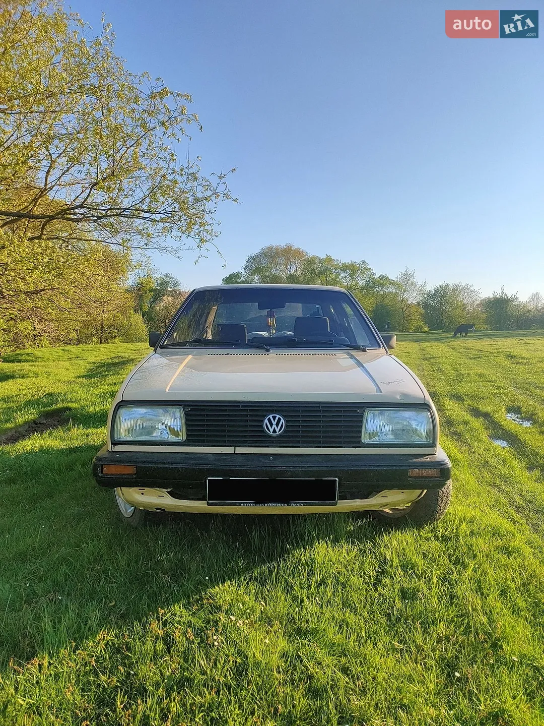 Volkswagen Jetta, 1987
