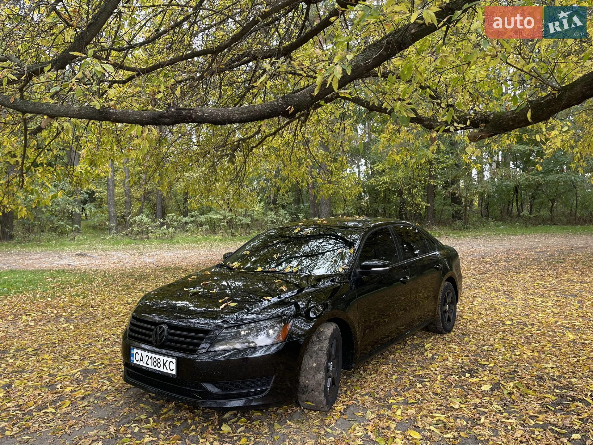 Volkswagen Passat, 2013