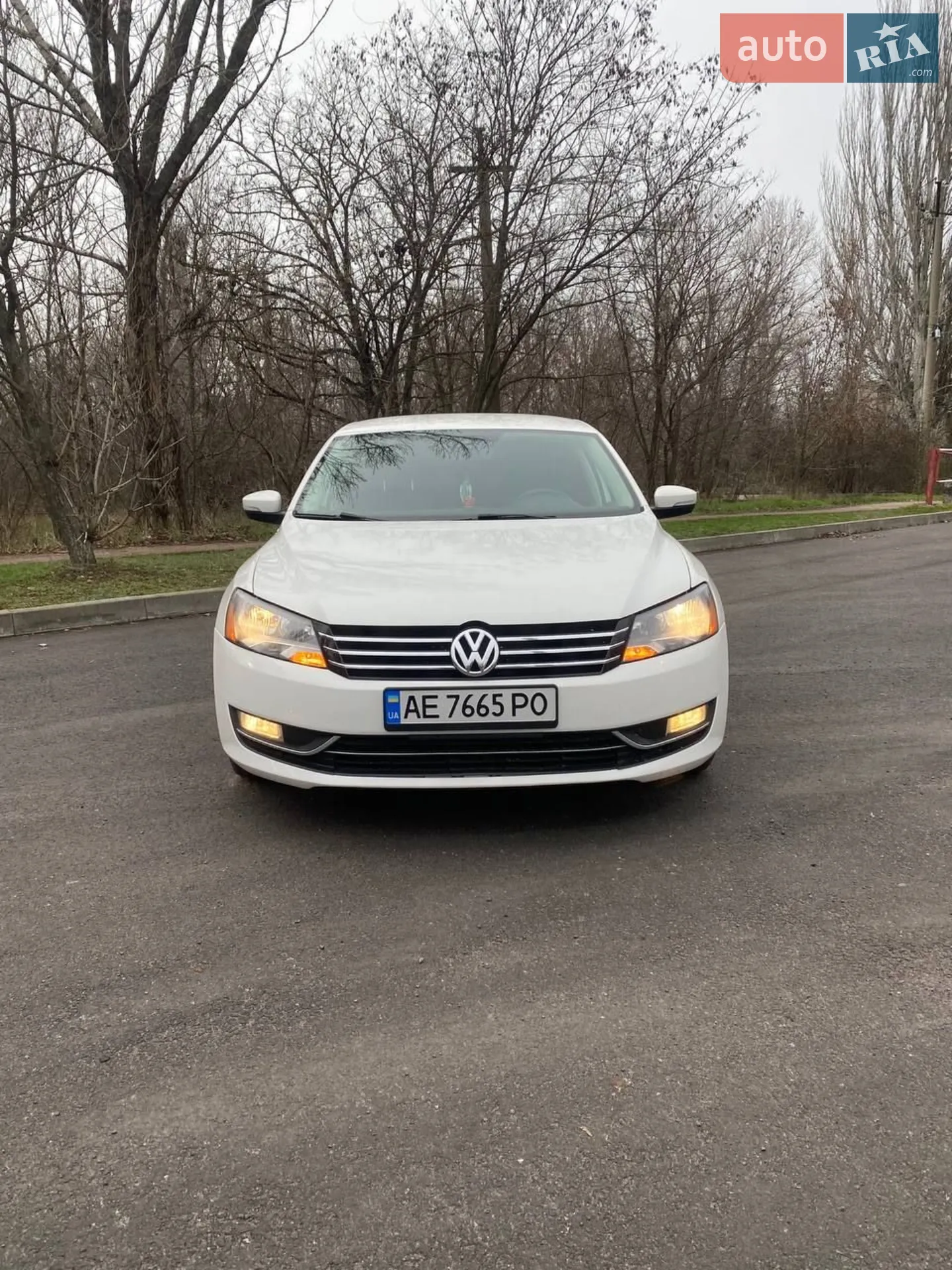 Volkswagen Passat, 2013