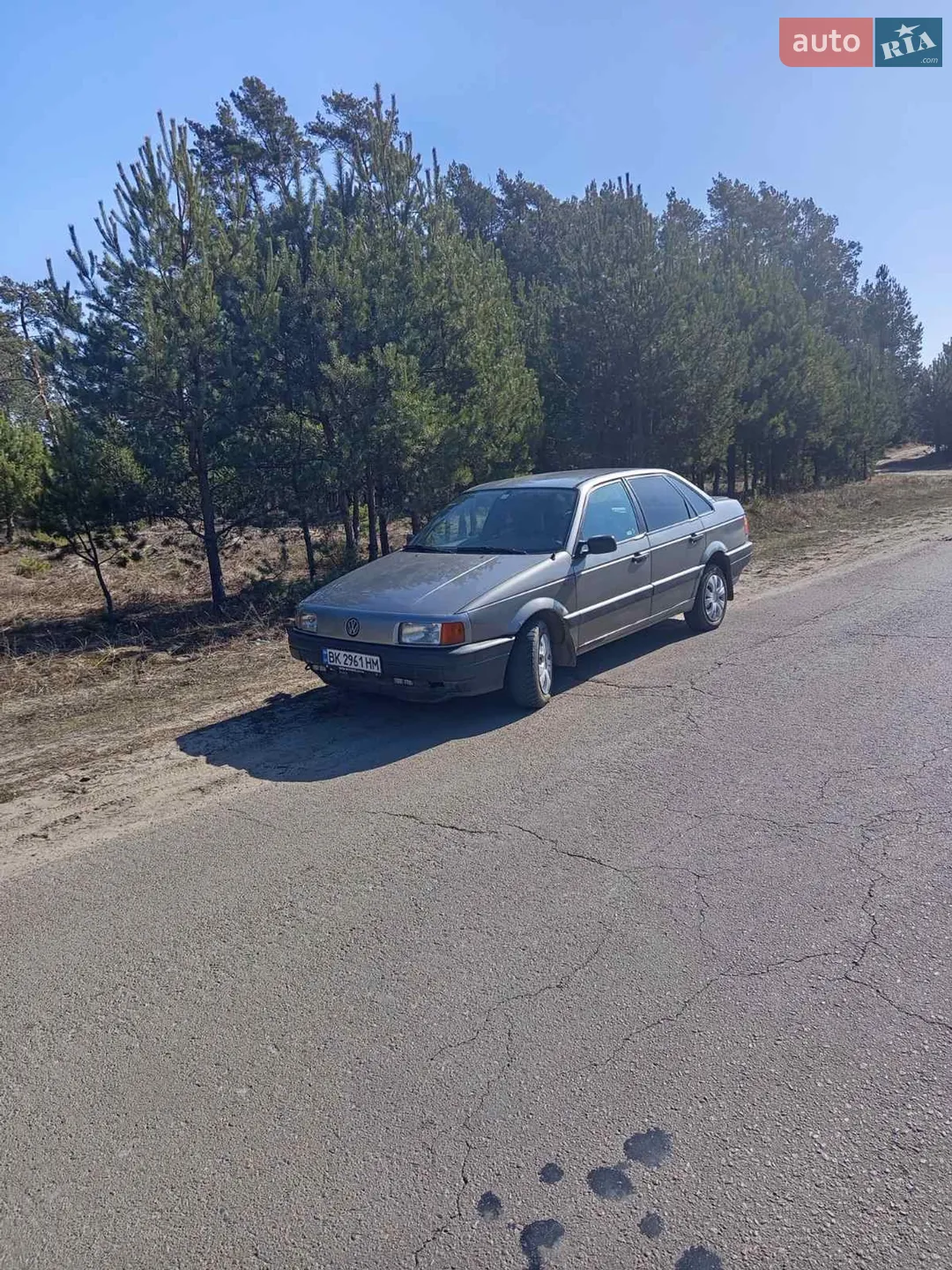 Volkswagen Passat, 1991
