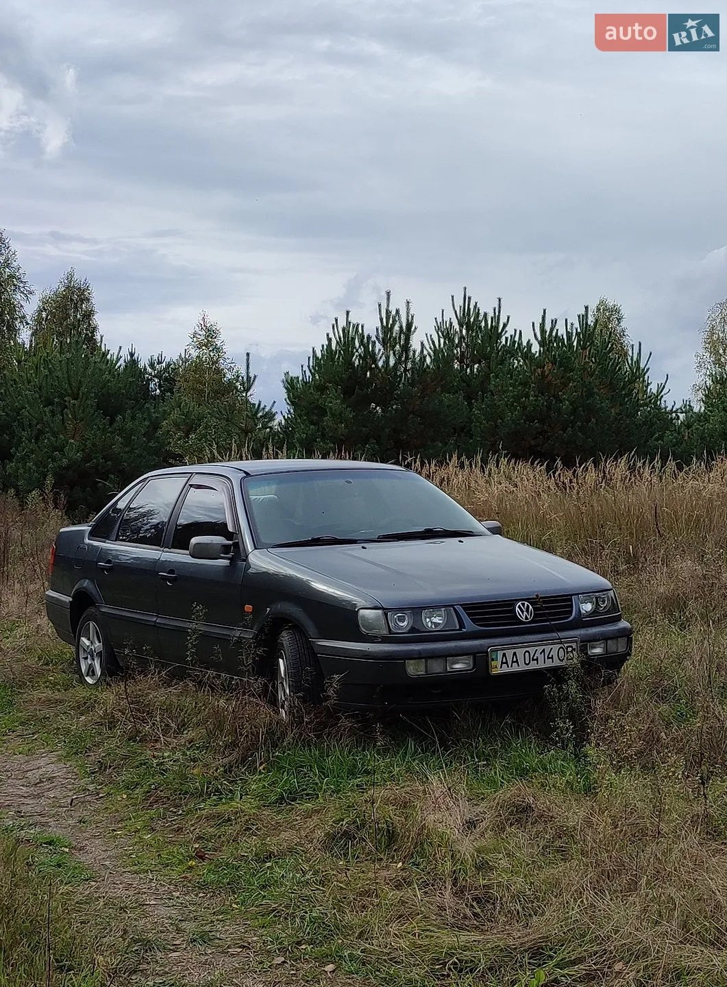 Volkswagen Passat, 1995