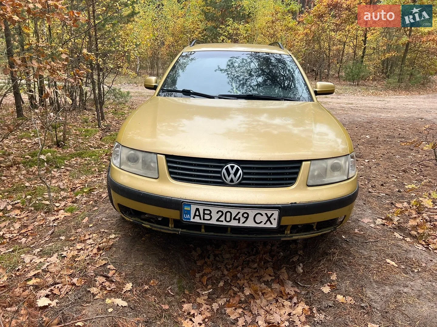 Volkswagen Passat, 1999