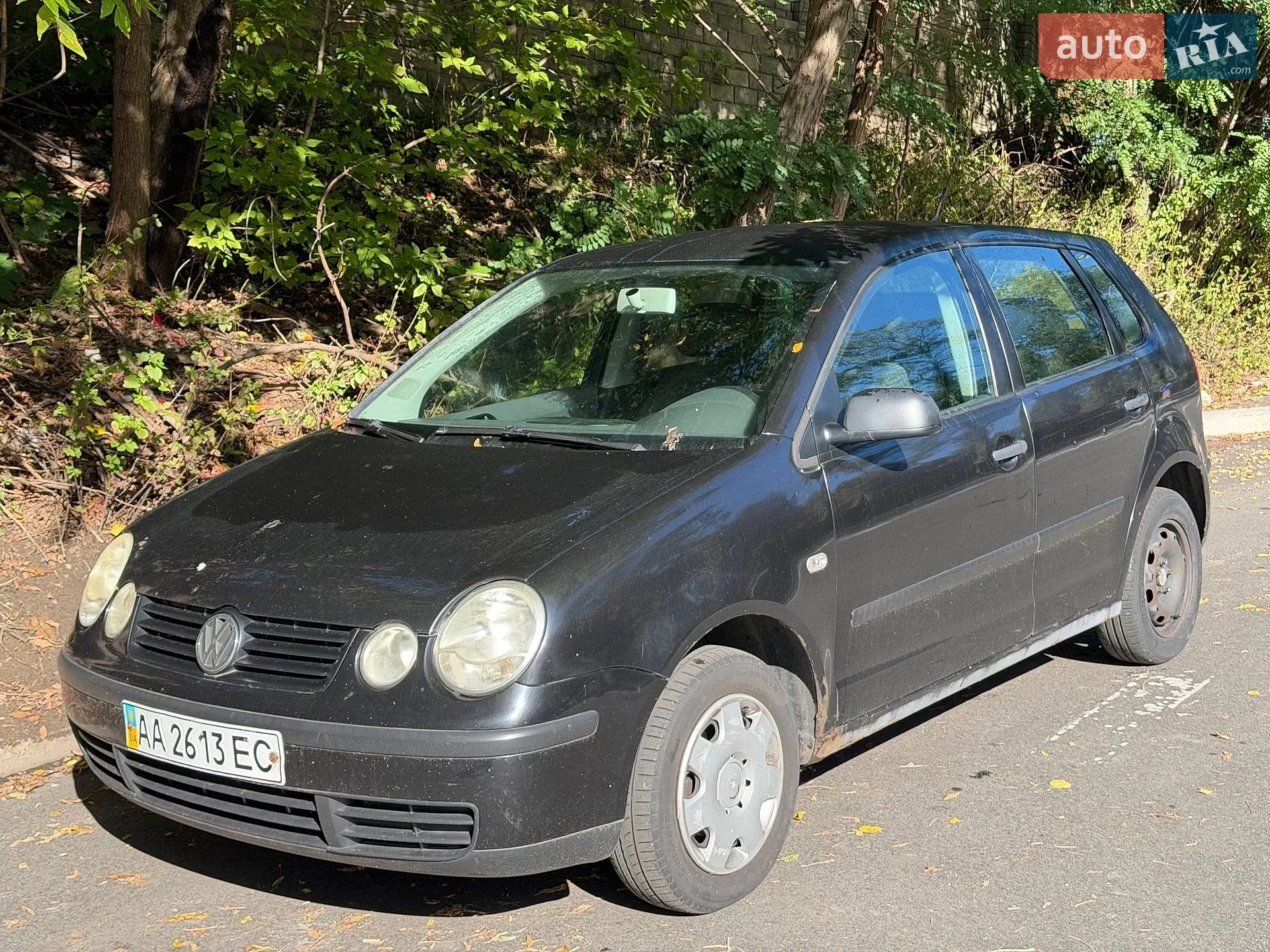 Volkswagen Polo, 2003