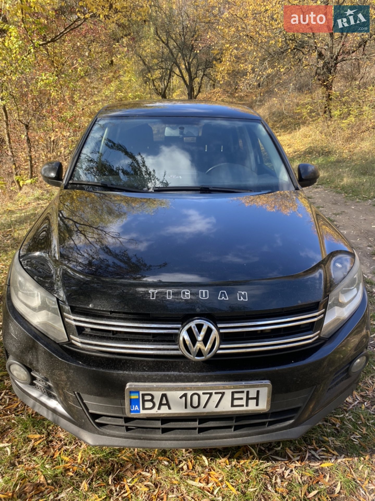 Volkswagen Tiguan, 2011