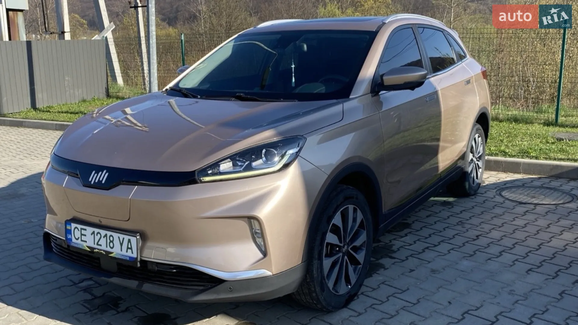 Weltmeister EX5, 2019