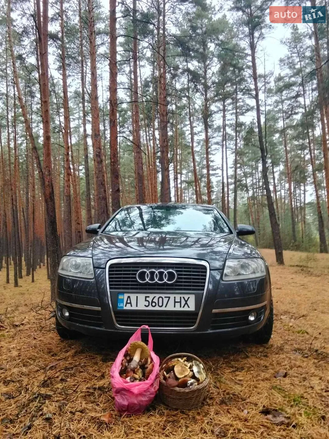 Audi A6, 2004