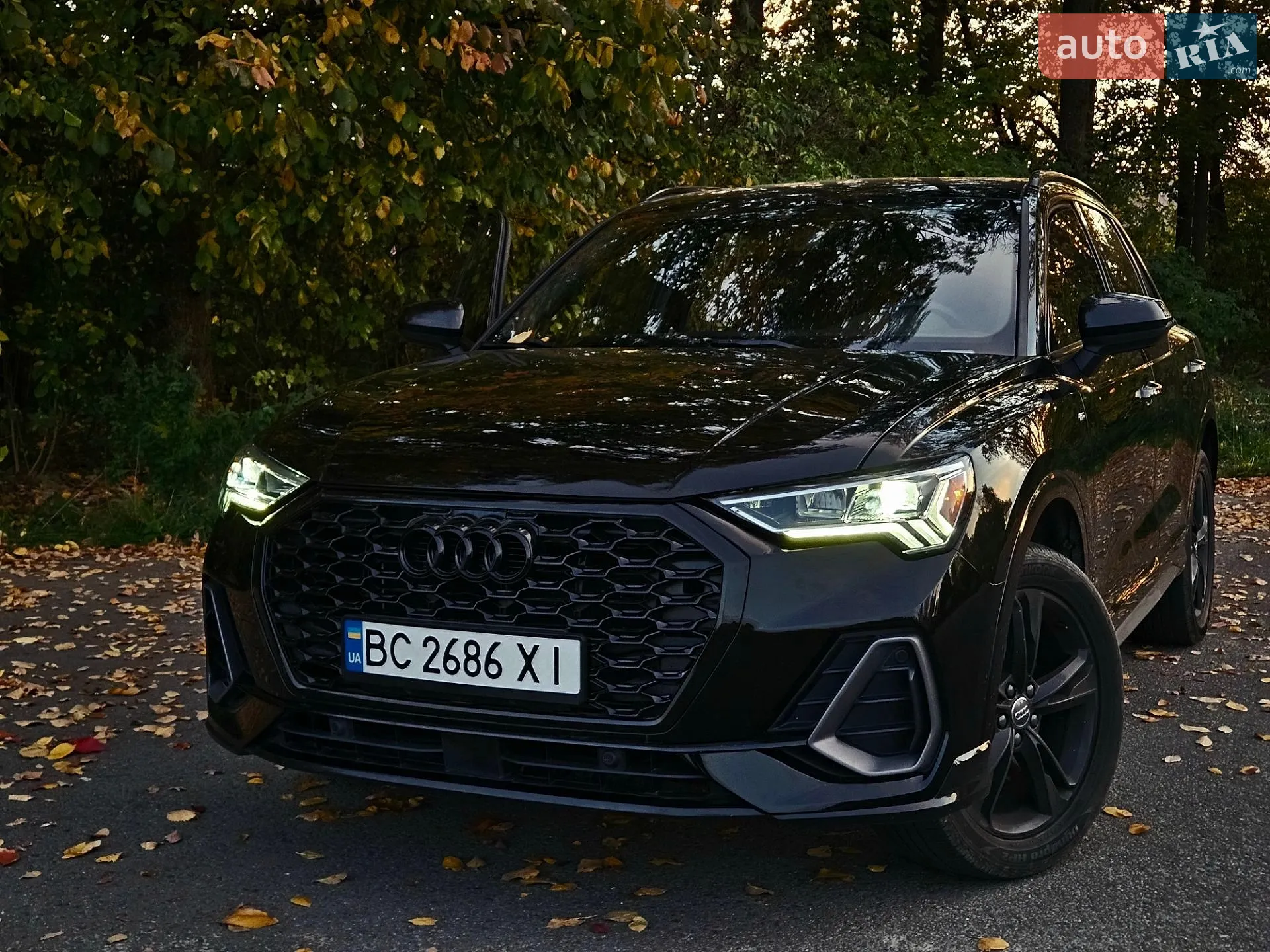 Audi Q3, 2019
