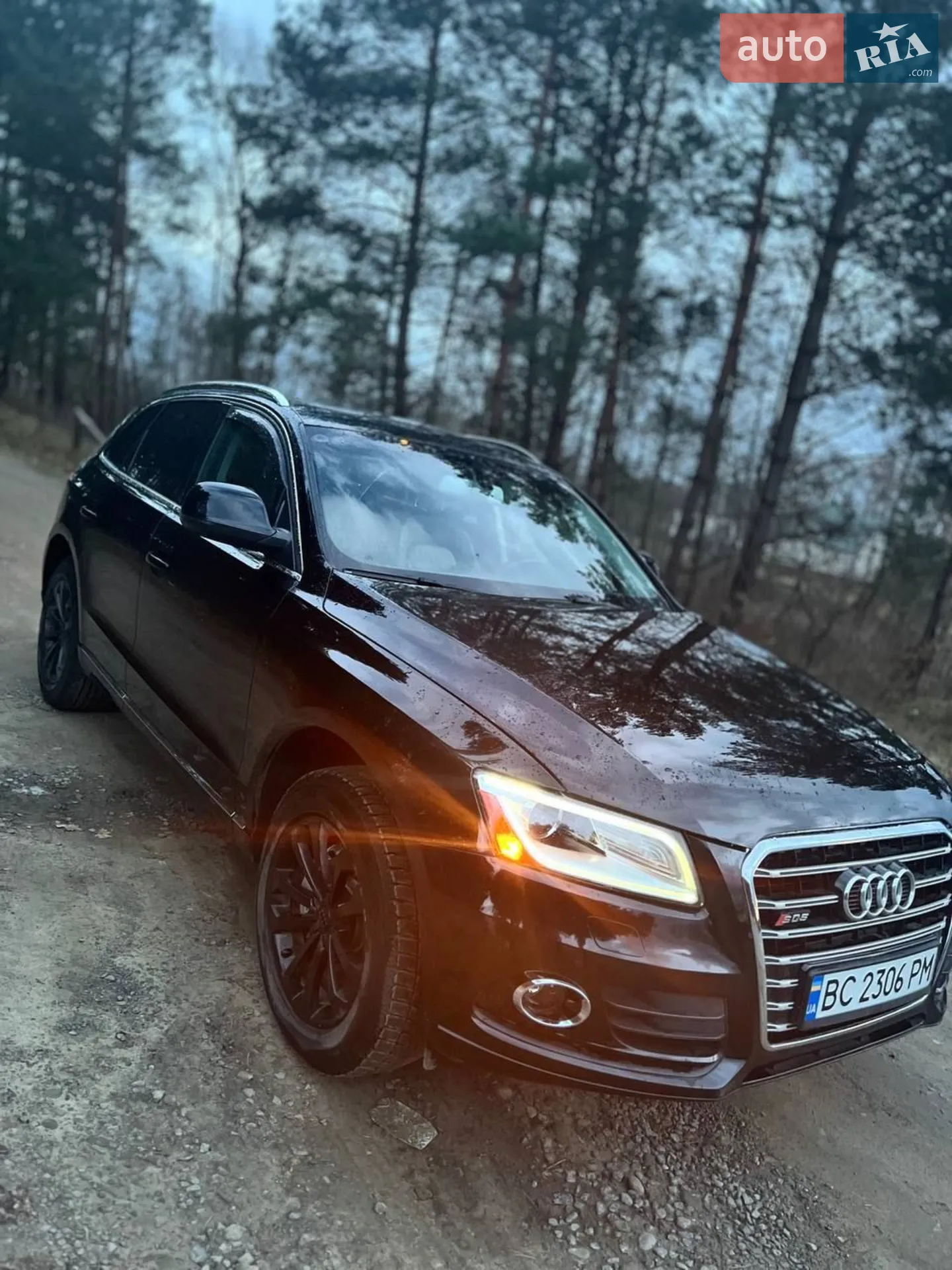 Audi Q5, 2013