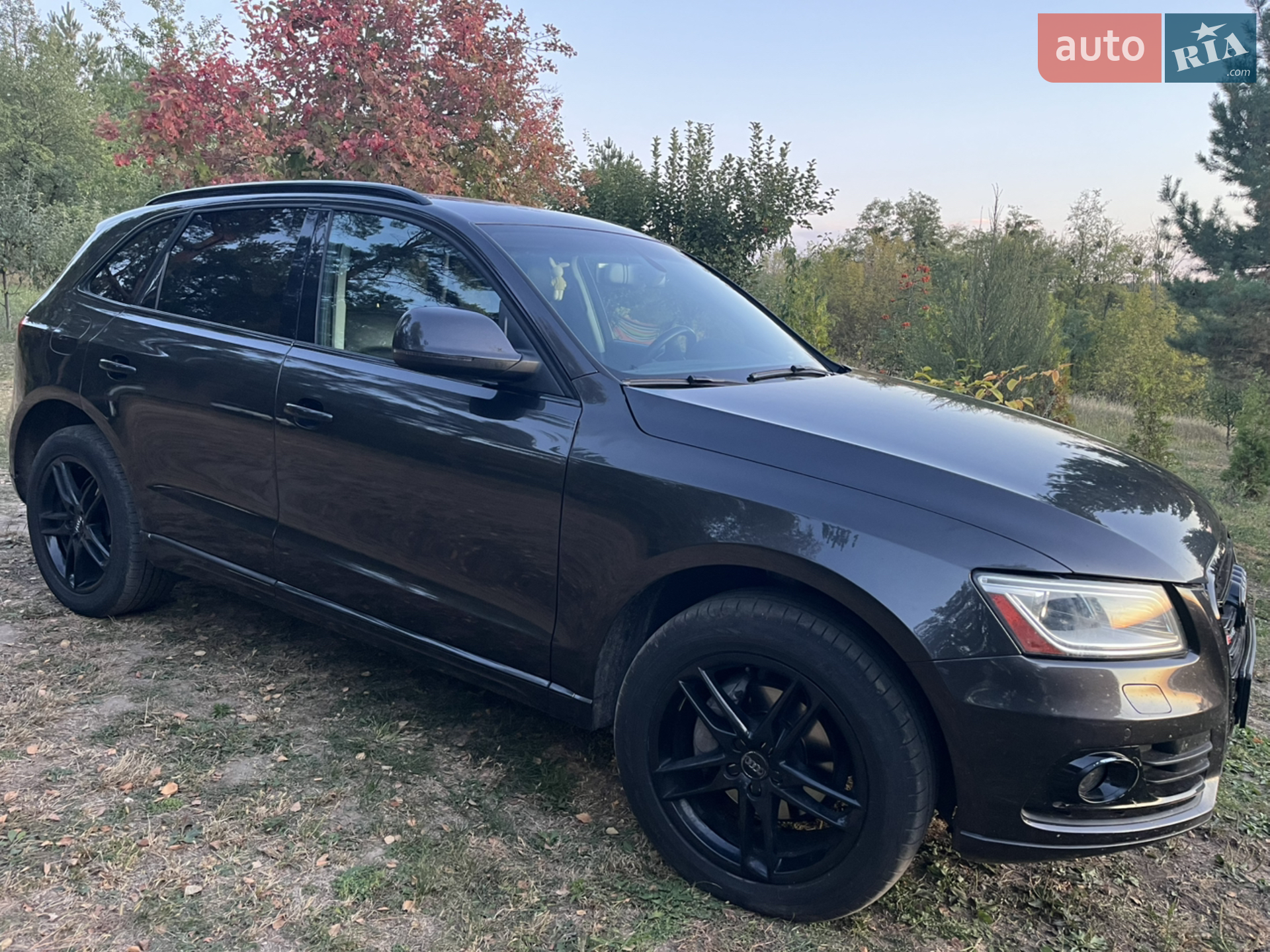 Audi Q5, 2013