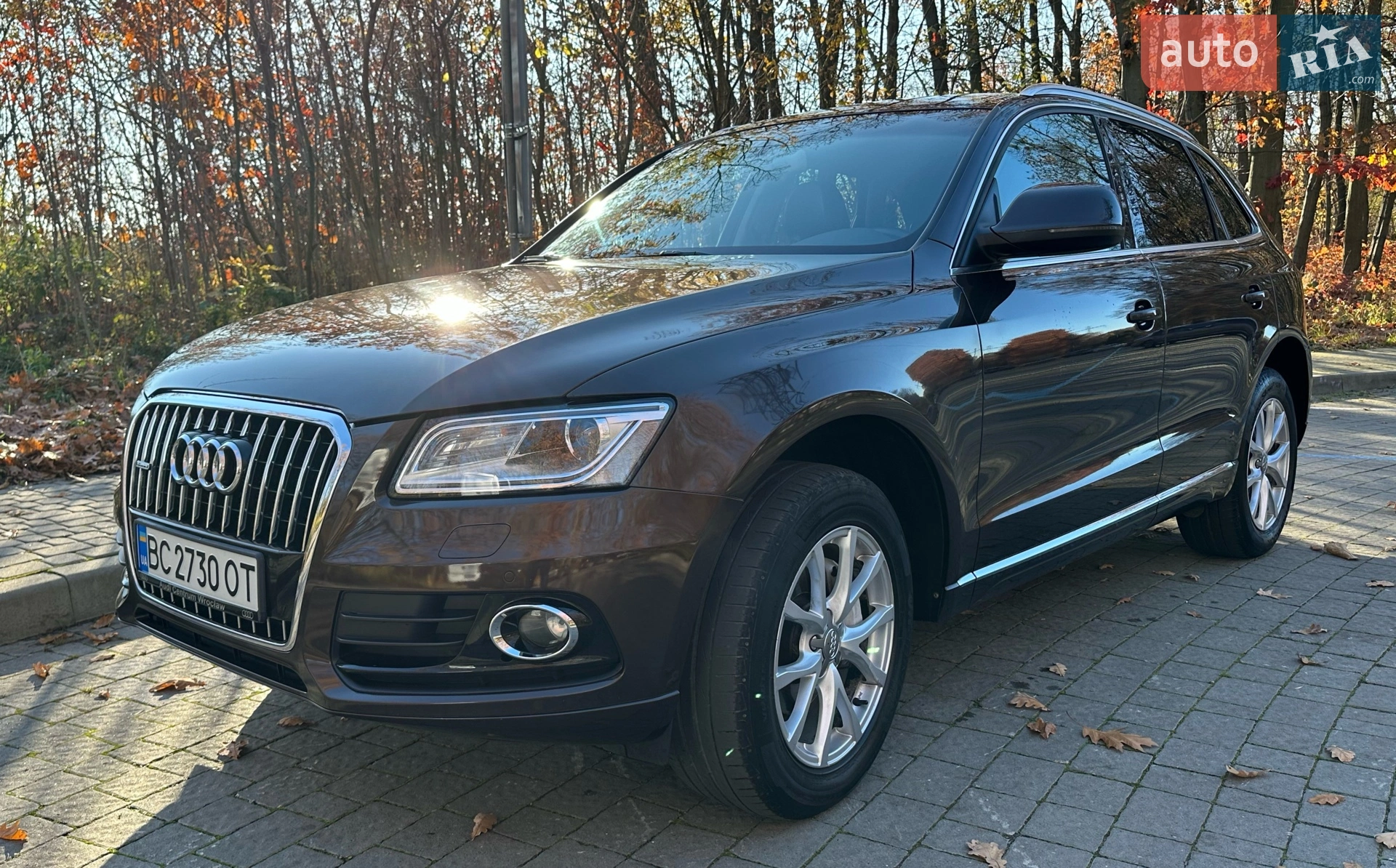 Audi Q5, 2012