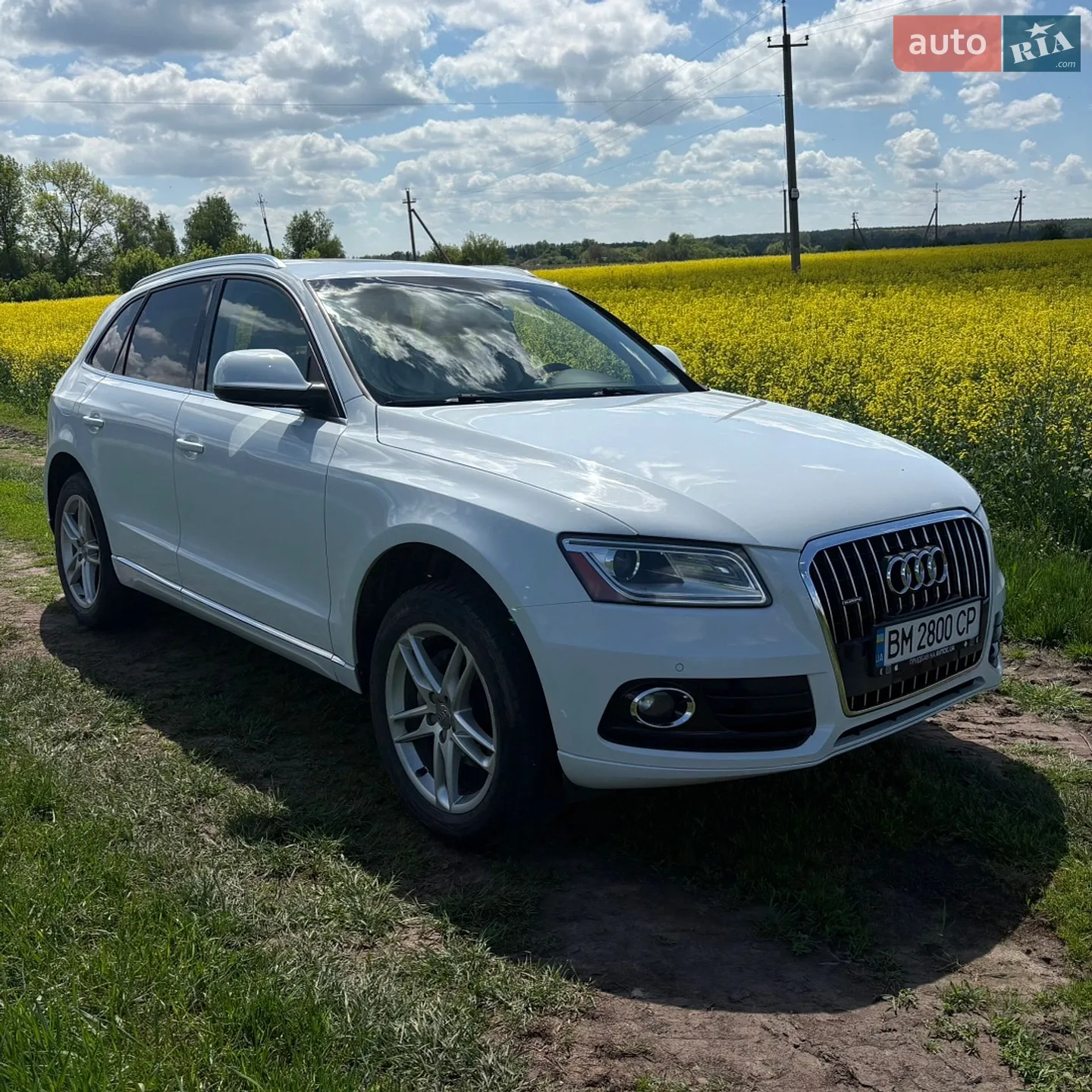 Audi Q5, 2013