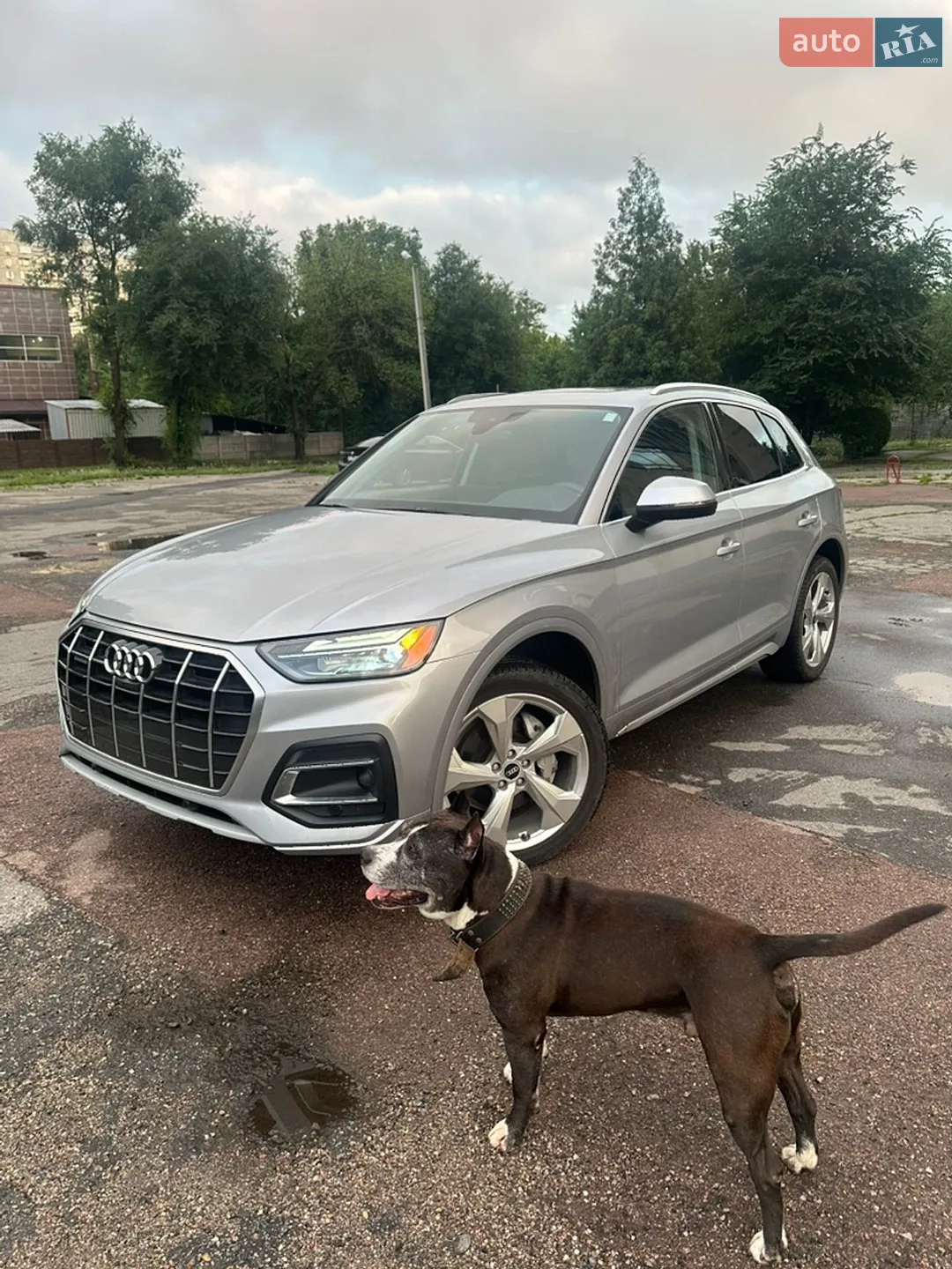 Audi Q5, 2020