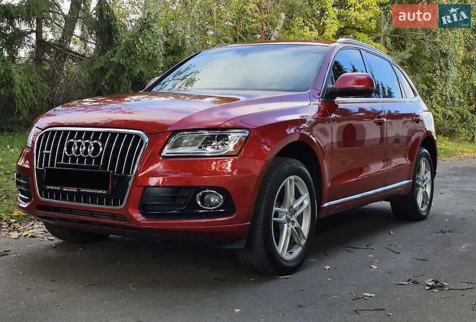 Audi Q5, 2014