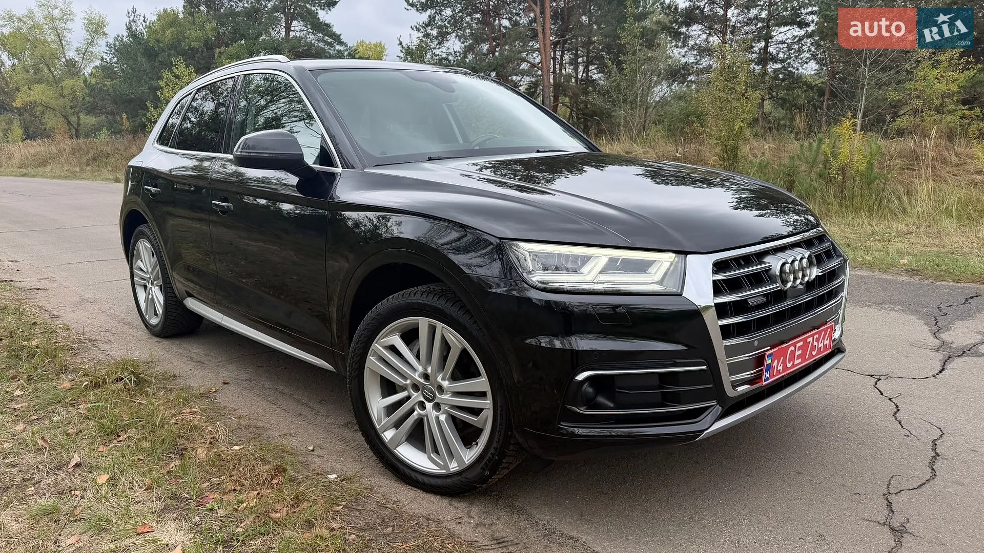 Audi Q5, 2019
