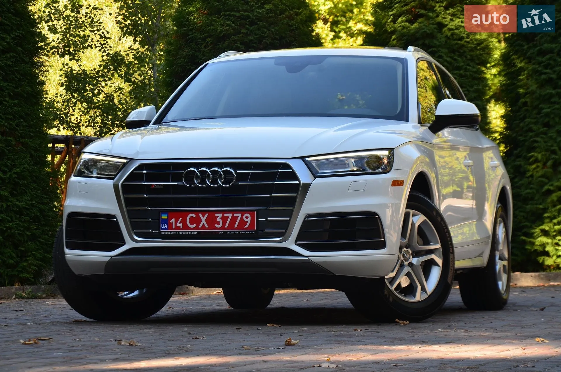 Audi Q5, 2019