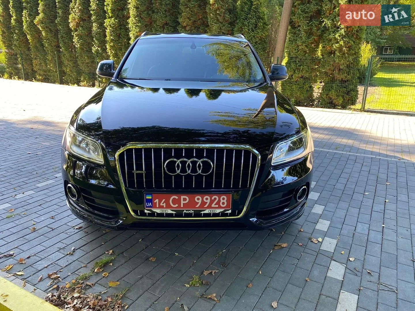 Audi Q5, 2014