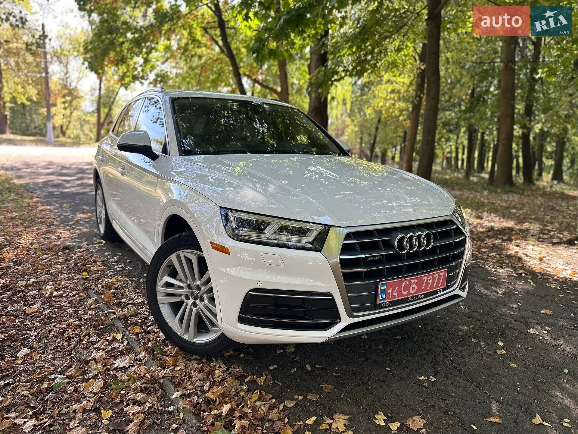 Audi Q5 2017 — 1