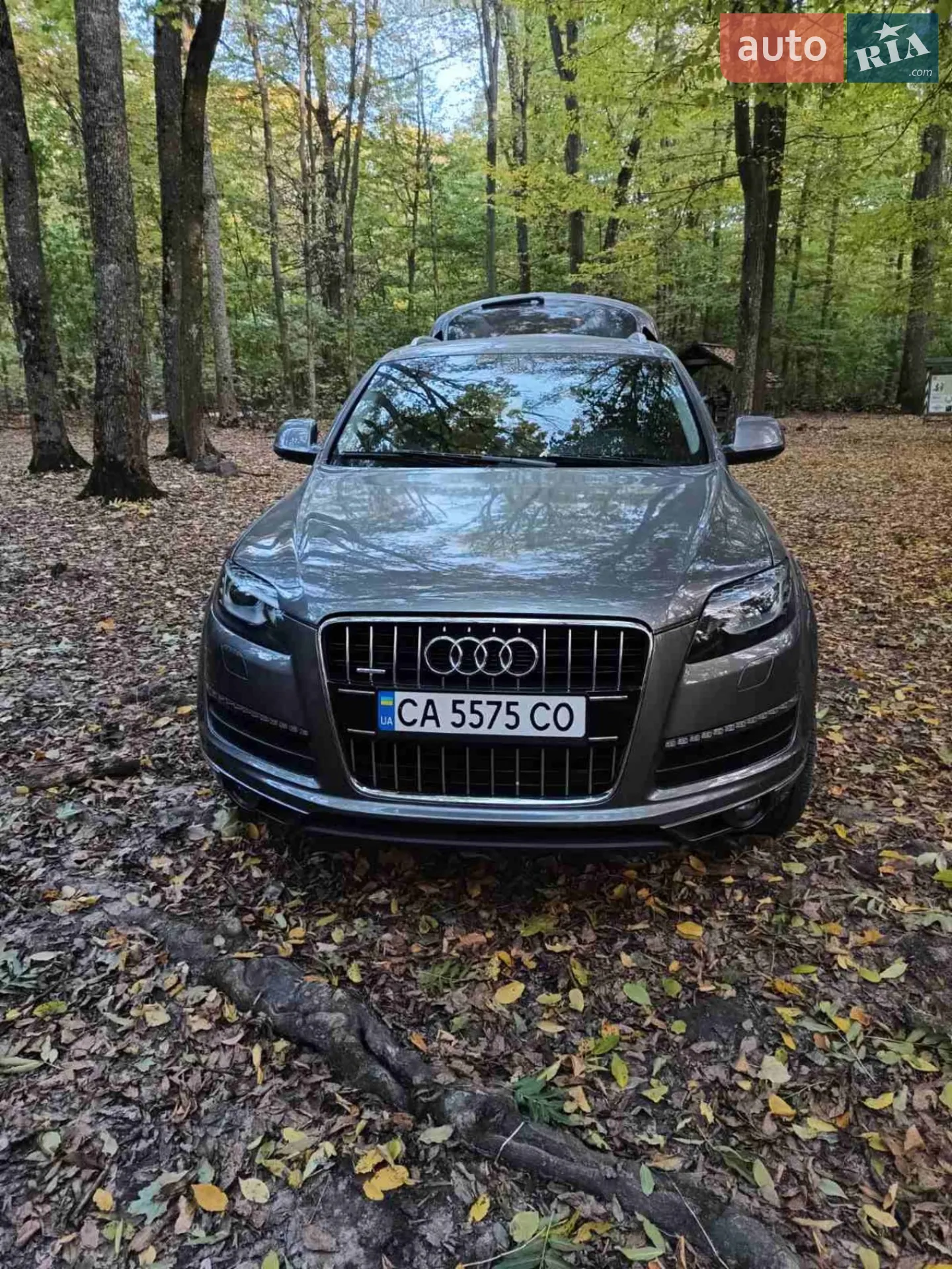 Audi Q7, 2011