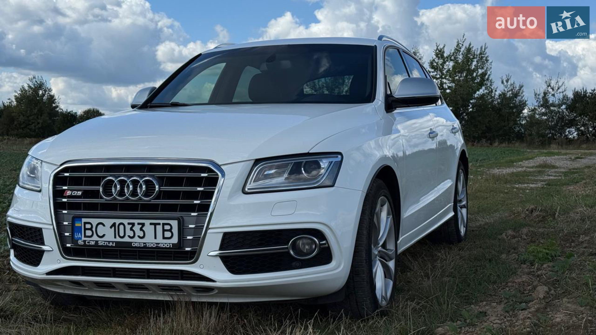 Audi SQ5, 2015