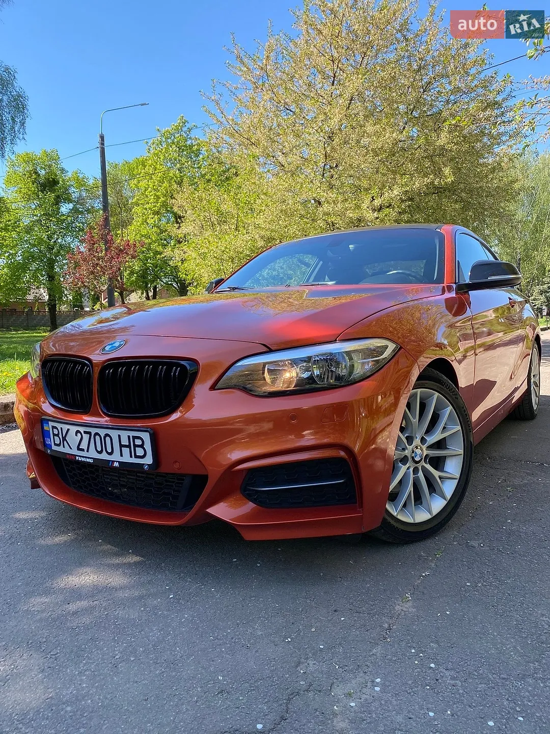BMW 2 Series, 2014