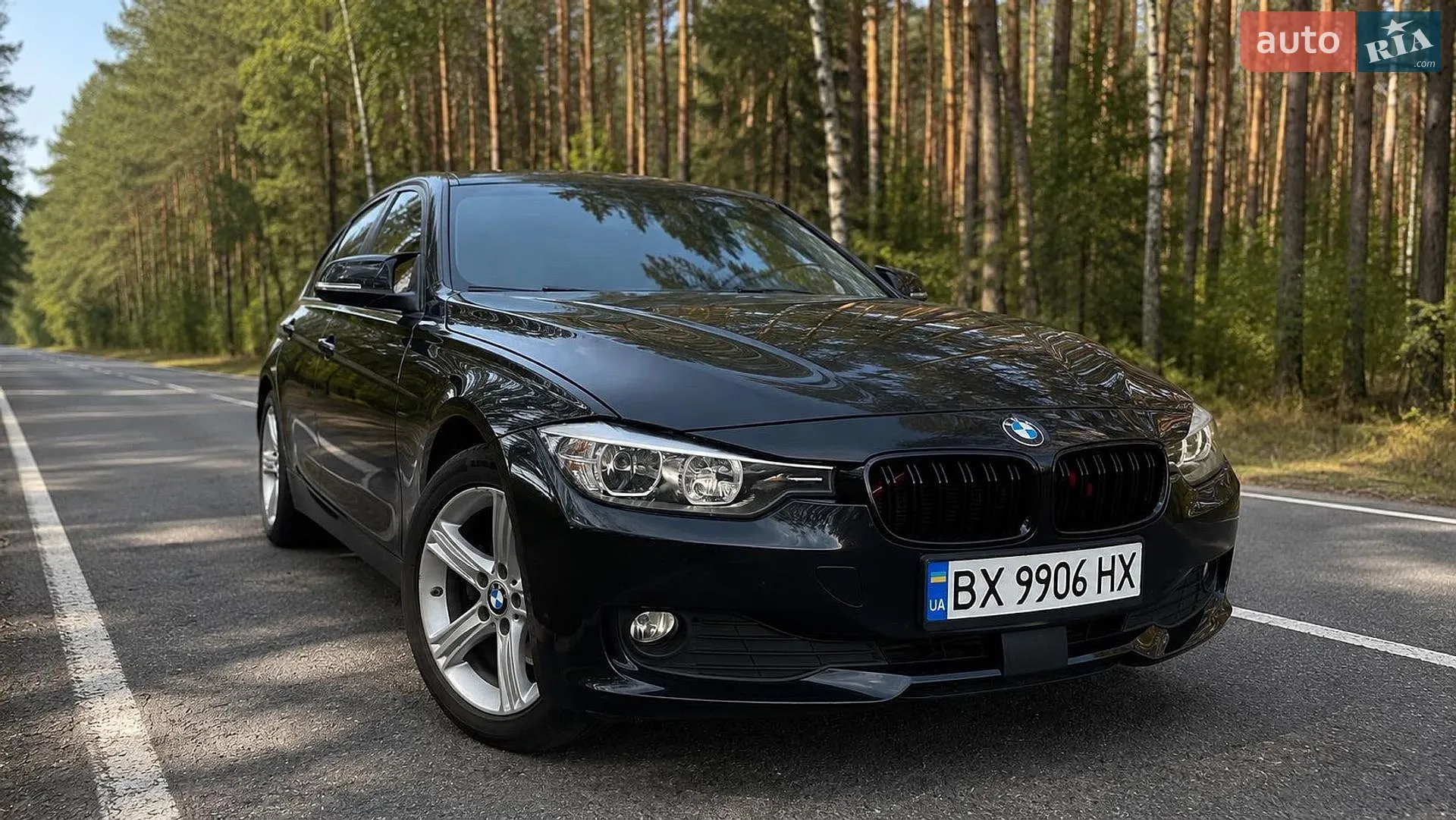 BMW 3 Series 2013 — 1