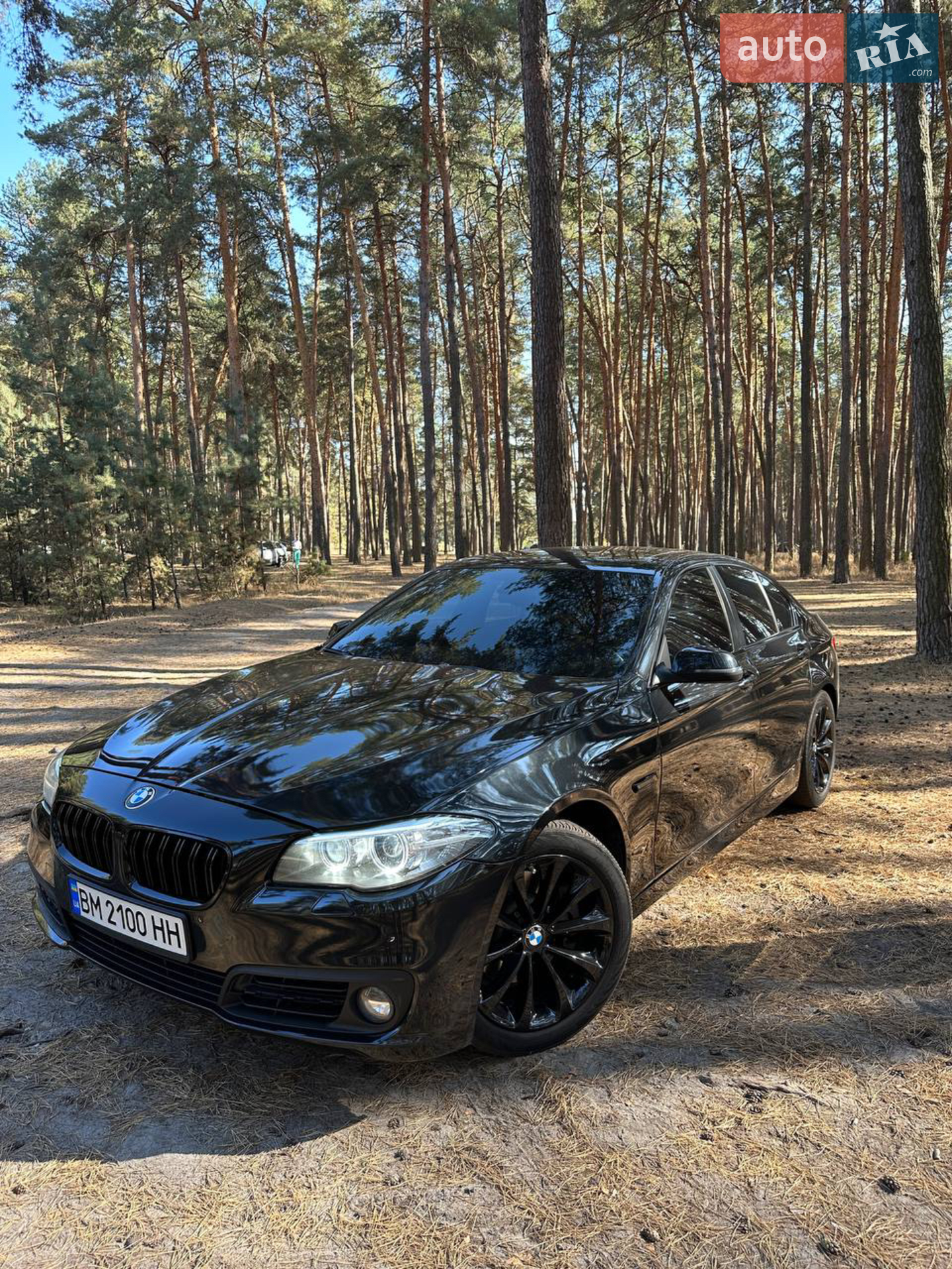 BMW 5 Series, 2015