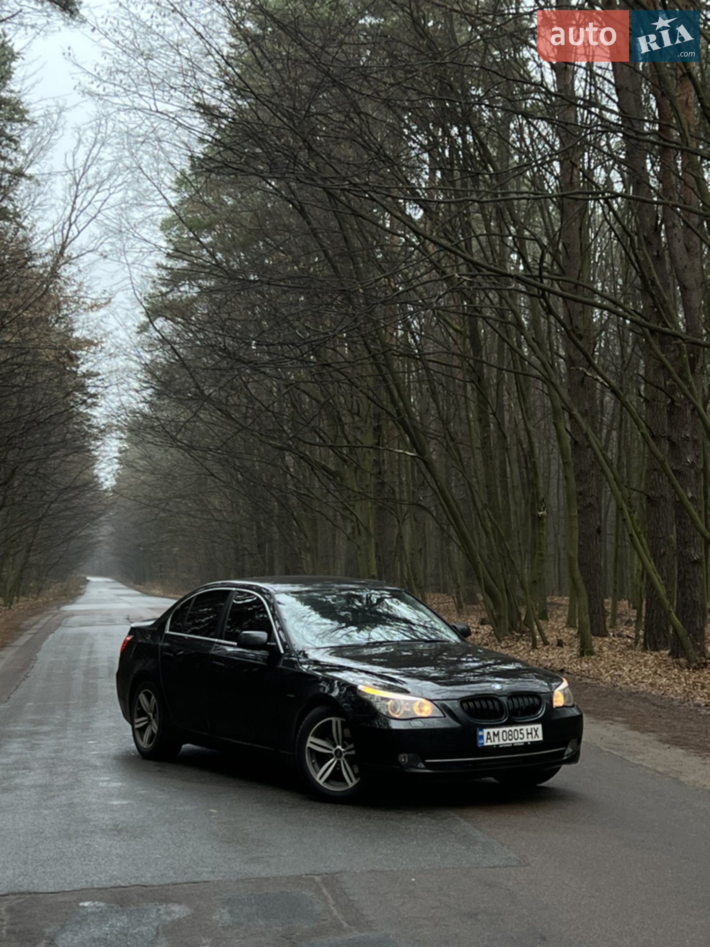 BMW 5 Series, 2008