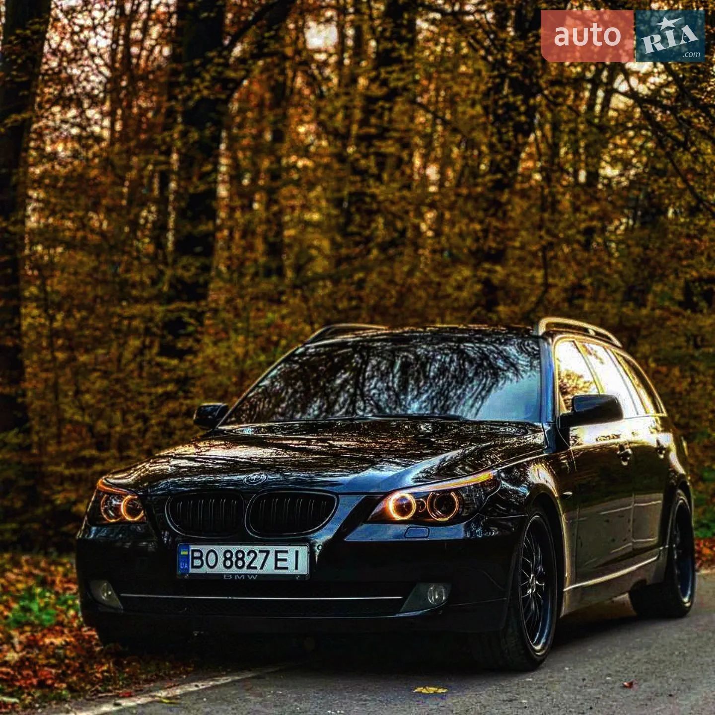 BMW 5 Series 2008 — 1