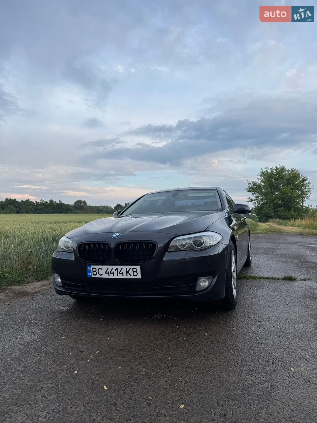 BMW 5 Series, 2012