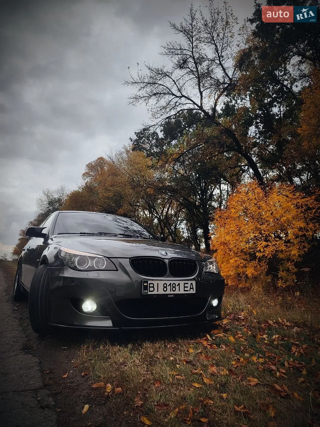 BMW 5 Series, 2004