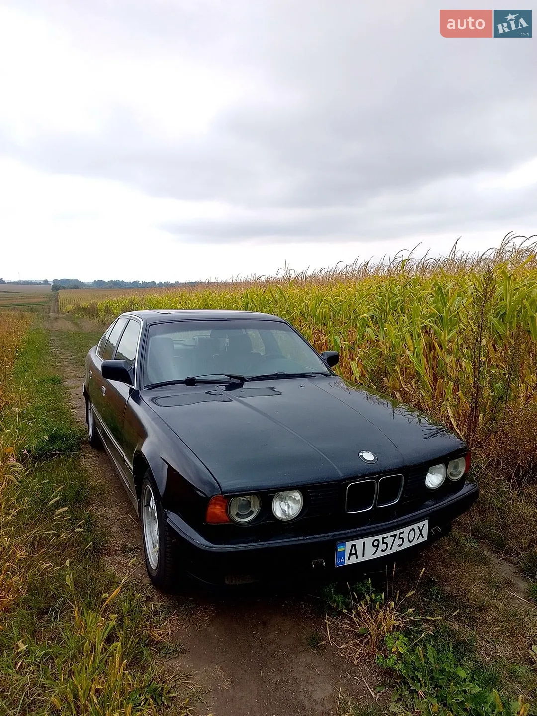 BMW 5 Series, 1991
